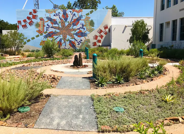 Ivox Group Indigenous healing gardens